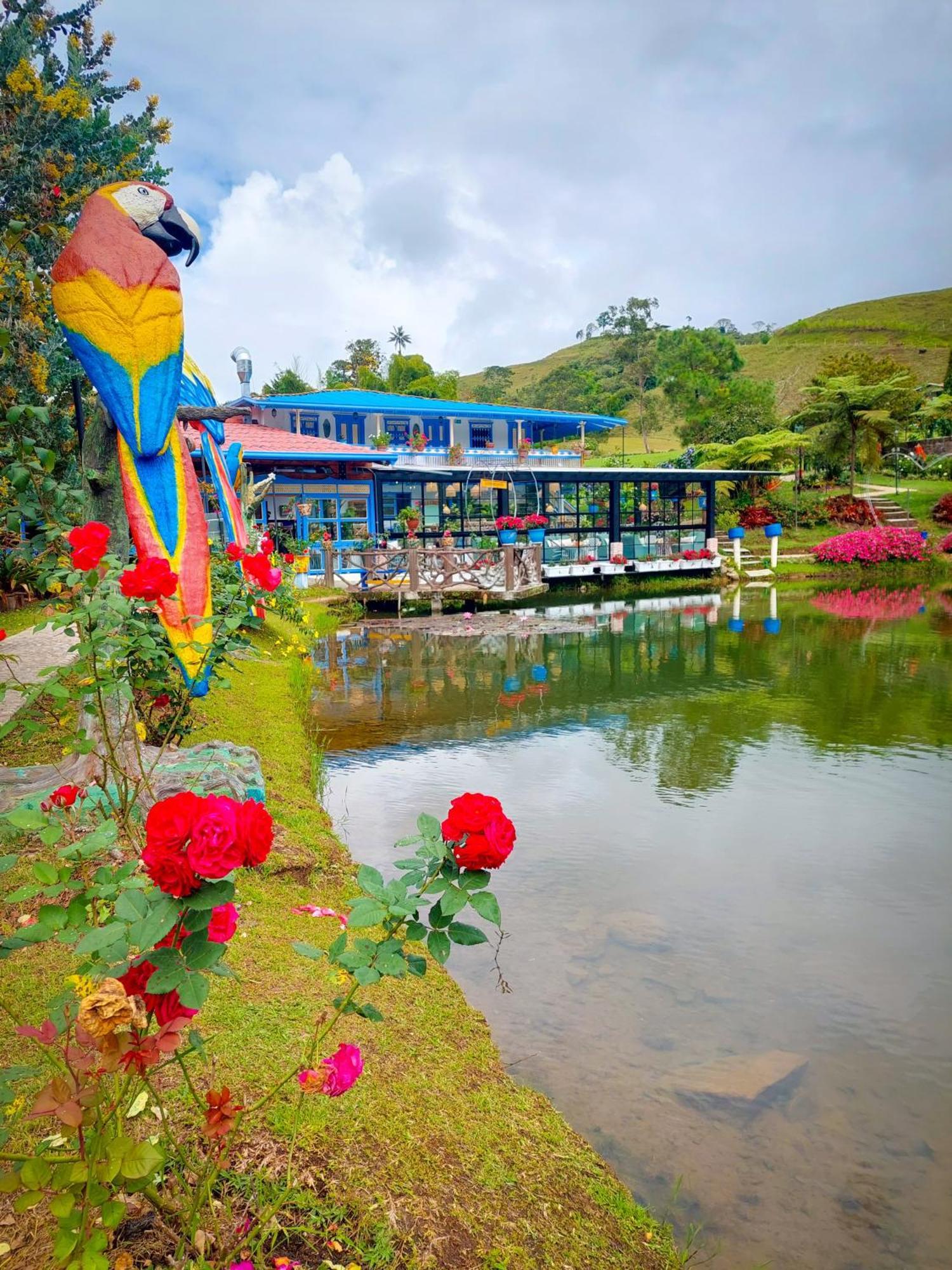 Hotel Lago Valdivia Jardin Exterior foto
